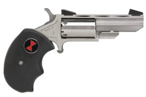 NAA BLACK WIDOW, STAINLESS, .22 MAG, 2" BARREL, 5-ROUNDS